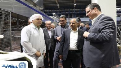 هشت صبح | Mehr News Agency
