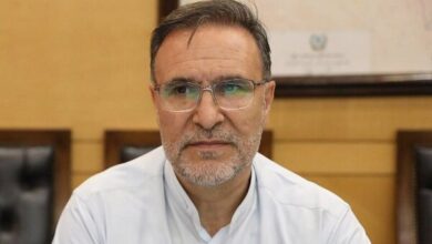 آریایی‌نژاد: نظارت‌های دارویی نیازمند اصلاح و بازنگری است - هشت صبح