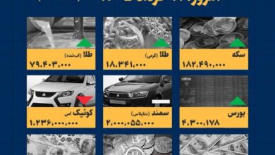 اینفوگرافیک / امروز ۱۱ خرداد قیمت‌ها چقدر است؟