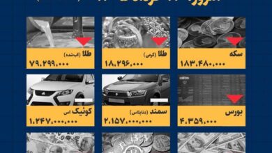 اینفوگرافیک / امروز ۱۳ خرداد قیمت‌ها چقدر است؟