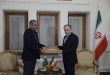 دیدار و رایزنی وزیر کشور پاکستان با عراقچی