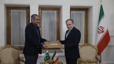 دیدار و رایزنی وزیر کشور پاکستان با عراقچی