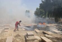 قبرستان تاریخی شیراز در آتش بی‌توجهی وزارت میراث فرهنگی سوخت
