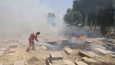 قبرستان تاریخی شیراز در آتش بی‌توجهی وزارت میراث فرهنگی سوخت