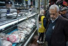 دبیرکل فدراسیون طیور: احتمال افزایش قیمت مرغ تا آستانه ۴۰۰ هزار تومان در روزهای منتهی به ماه محرم/ بخشی از واحدهای کوچک پرورش مرغ گوشتی به دلیل مشکلات شدید نقدینگی، تعطیل شده‌اند/ با توجه به اینکه مصرف حدود ۲۵ تا ۳۰ درصد کاهش یافته، تولید نیز تقریبا به همان میزان افت کرده