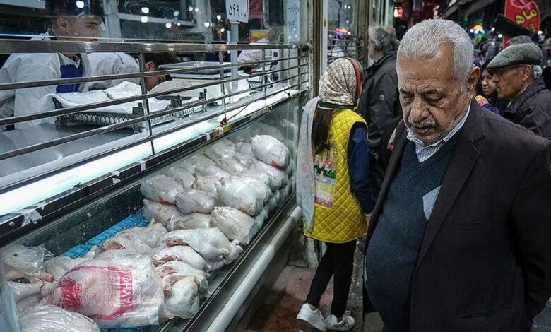 دبیرکل فدراسیون طیور: احتمال افزایش قیمت مرغ تا آستانه ۴۰۰ هزار تومان در روزهای منتهی به ماه محرم/ بخشی از واحدهای کوچک پرورش مرغ گوشتی به دلیل مشکلات شدید نقدینگی، تعطیل شده‌اند/ با توجه به اینکه مصرف حدود ۲۵ تا ۳۰ درصد کاهش یافته، تولید نیز تقریبا به همان میزان افت کرده