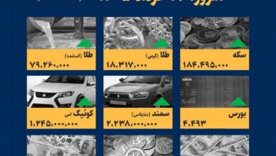 اینفوگرافیک / امروز ۱۷ خرداد قیمت ها چقدر است؟