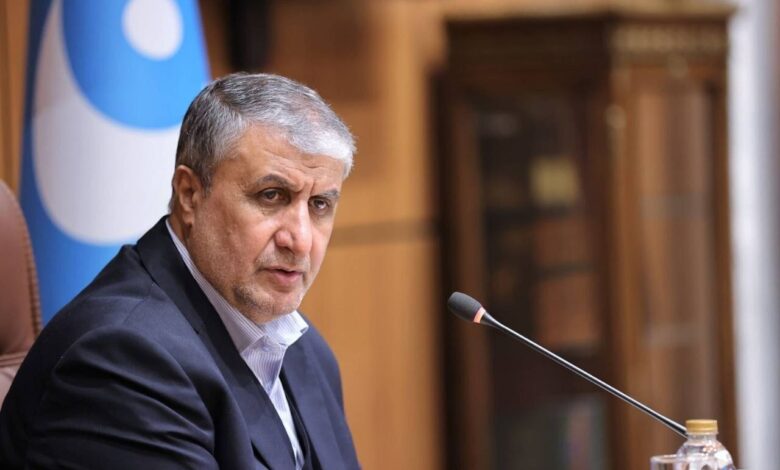 رئیس سازمان انرژی اتمی: احداث نیروگاههای اتمی در پنج نقطه از سواحل کشور با هدف افزایش سهم برق هستهای در سبد انرژی، در دستور کار قرار گرفته/ واحدهای دوم و سوم نیروگاه اتمی بوشهر اکنون در حال احداث هستند