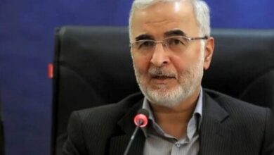 نماینده مجلس: وزیر کشور گفت با تصمیم شورای عالی امنیت ملی مقرر شده فعلا انتخابات شوراها برگزار نشود / شوراهای فعلی به فعالیت خود ادامه می‌دهند