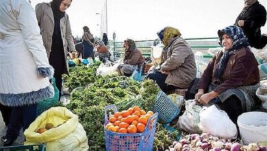 نزدیک به ۶.۵ میلیون زن روستایی فعال در کشور وجود دارد - هشت صبح