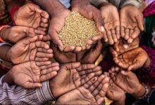 تکاپوی ژئوپلیتیک در تغییر شکل امنیت غذایی جهانی - هشت صبح