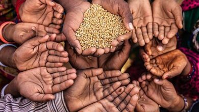 تکاپوی ژئوپلیتیک در تغییر شکل امنیت غذایی جهانی - هشت صبح