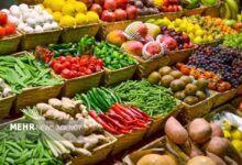 قیمت ارز و جذابیت صادرات عرضه محصولات کشاورزی را کاهش داد - هشت صبح