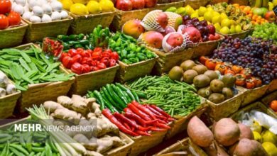 قیمت ارز و جذابیت صادرات عرضه محصولات کشاورزی را کاهش داد - هشت صبح