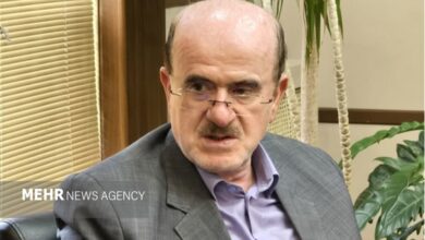 لاهوتی: تا برقراری تعادل عرضه و تقاضا، مشکلات بازار خودرو ادامه داد - هشت صبح
