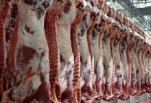 رفع موانع فنی و بهداشتی، شرط جهش تجارت با اوراسیا است - هشت صبح