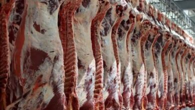 رفع موانع فنی و بهداشتی، شرط جهش تجارت با اوراسیا است - هشت صبح