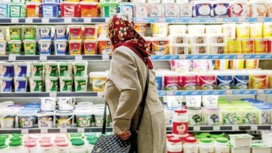 نرخ جدید ۴ قلم لبنیات تنظیم بازاری ابلاغ شد - هشت صبح