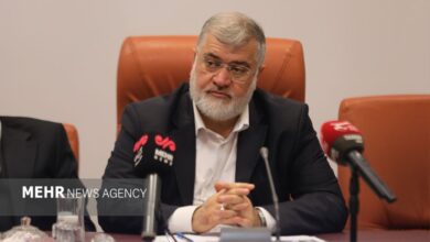 استاندار تهران: ساماندهی ۳۸لکه صنعتی استان تهران با شتاب در حال اجراست - هشت صبح