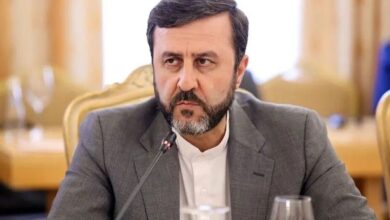 غریب‌آبادی: شورای امنیت از مرحله ابراز نگرانی و دعوت‌های کلی عبور کند - هشت صبح