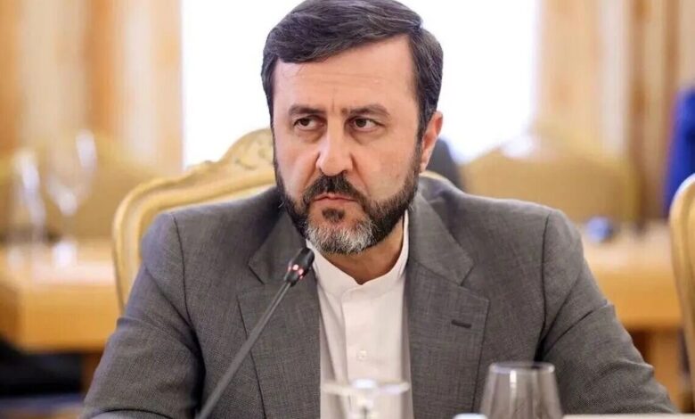 غریب‌آبادی: شورای امنیت از مرحله ابراز نگرانی و دعوت‌های کلی عبور کند - هشت صبح