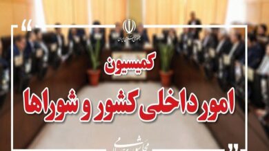 تصویب کلیات طرح اصلاح قانون تقسیمات کشوری در کمیسیون شوراها - هشت صبح