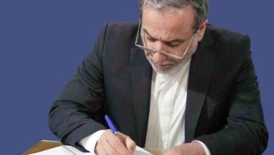 پیام تسلیت عراقچی به مناسبت ارتحال آیت‌الله فیاض - هشت صبح