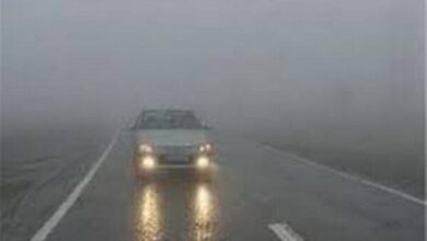 باران و مه‌گرفتگی در ارتفاعات مازندران و اردبیل - هشت صبح
