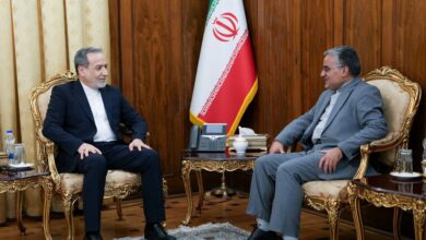  دیدار رئیس دفتر حفاظت منافع ایران در قاهره با عراقچی - هشت صبح