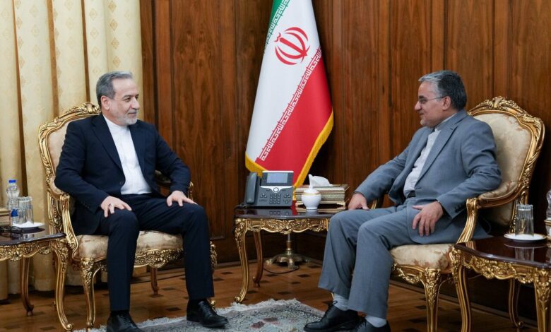  دیدار رئیس دفتر حفاظت منافع ایران در قاهره با عراقچی - هشت صبح
