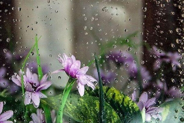 توصیه کارشناسان هواشناسی بخش کشاورزی برای ۵ روز آینده - هشت صبح