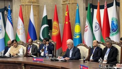 مومنی: امنیت، پیش‌شرط توسعه پایدار است - هشت صبح