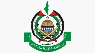 حماس حمایت بی‌وقفه ایران از ملت فلسطین را ستود - هشت صبح