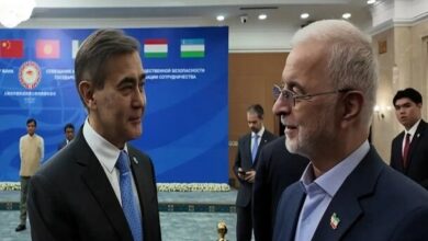 مومنی: سازمان همکاری‌ شانگهای بازیگری بسیار موثر در تحولات جهانی است - هشت صبح