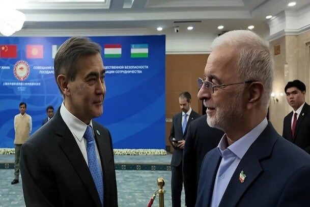 مومنی: سازمان همکاری‌ شانگهای بازیگری بسیار موثر در تحولات جهانی است - هشت صبح