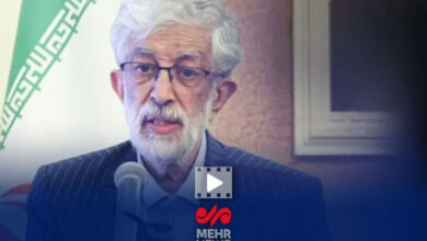 روایت حدادعادل از برنامه‌ دیدارهای رهبر شهید انقلاب با خانواده شهدا
