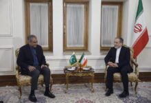دیدار وزیر کشور پاکستان با وزیر خارجه کشورمان - هشت صبح