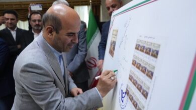 طرزطلب: تا تیر ماه ظرفیت نیروگاه‌های تجدیدپذیر به ۷۰۰۰ مگاوات می‌رسد - هشت صبح