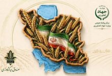 تخفیف ۱۰ درصدی حق بیمه صندوق کشاورزی برای بیمه‌گذران - هشت صبح