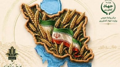 تخفیف ۱۰ درصدی حق بیمه صندوق کشاورزی برای بیمه‌گذران - هشت صبح