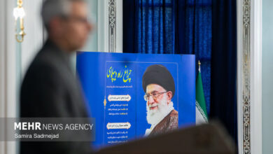نشست خبری سخنگوی وزارت خارجه