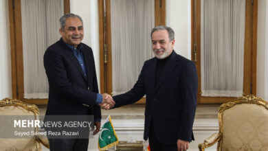 دیدار وزیر کشور پاکستان با وزیرامور خارجه - هشت صبح