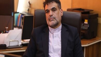 قیمت‌گذاری دستوری، خودرو را از کالای مصرفی به ابزار سوداگری تبدیل کرده - هشت صبح