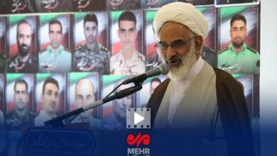 دشمن آرزوی جدا کردن سپاه از ولایت را به گور خواهد برد