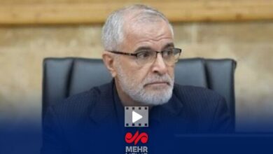 توضیحات دبیر ستاد تشییع رهبر شهید انقلاب اسلامی درباره روزهای تعطیل