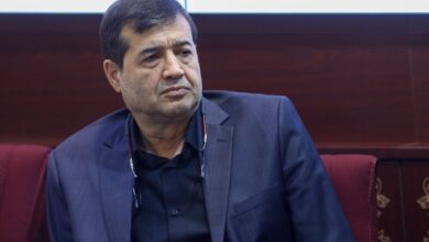 وزیر ورزش: پرچم دیگری جز پرچم ما در ورزشگاه‌ها باشد، می‌توانیم بازی را ادامه ندهیم