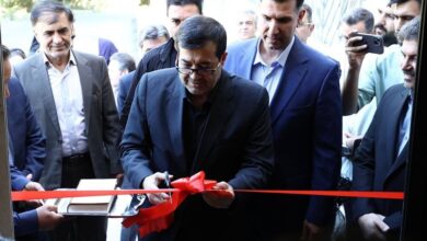 وزیر ورزش: قهرمانی وقتی لذت بخش است که با بچه‌های همان کشور به دست آید