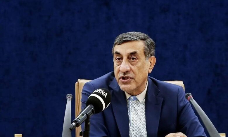 قائم پناه، معاون اجرایی پزشکیان: [از آن‌جایی که] دیپلماسی و میدان هم‌پای یکدیگر هستند، ما شب گذشته به سرزمین‌های اشغالی حمله نکردیم، ولی آمریکا مجبور شد که محاصره دریایی خود را به یکباره بردارد