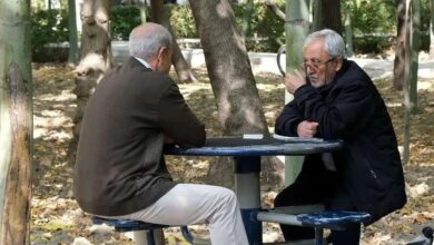 تأمین اجتماعی: بالغ بر ۲۰ همت برای پرداخت ۳۴۰ هزار وام ۶۰ میلیون تومانی به بازنشستگان و مستمری بگیران پیش‌بینی شده/ نرخ کارمزد تسهیلات اعطایی ۴ درصد و بازپرداخت آن ۲۴ ماهه است/ ثبت‌نام متقاضیان از تیر ماه آغاز می‌شود
