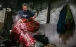 تصاویر؛ آخرین بازمانده رنگرزی گیاهی در کردستان